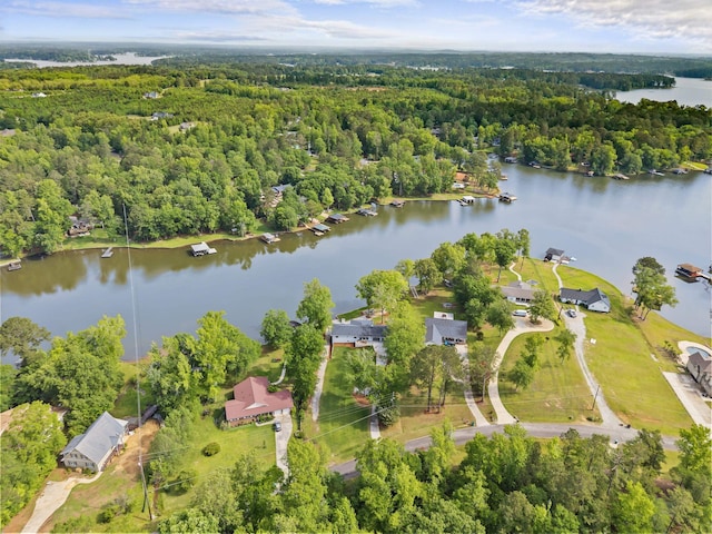birds eye view of property with a water view and a view of trees