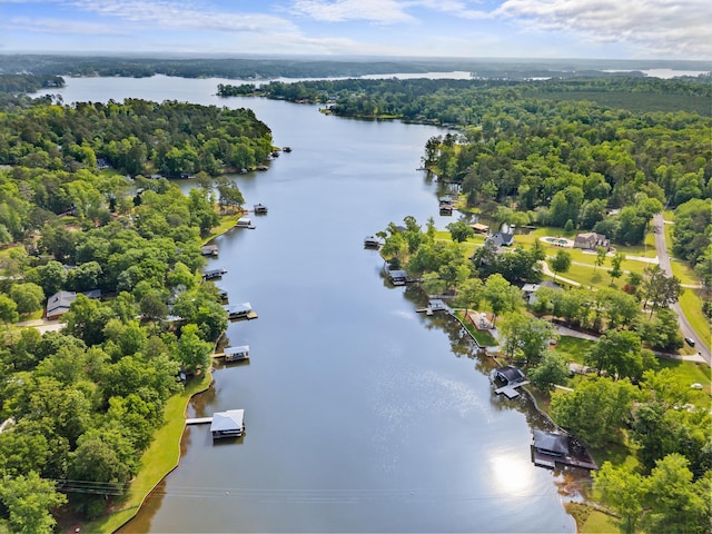 birds eye view of property with a water view and a view of trees
