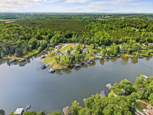 bird's eye view featuring a view of trees and a water view