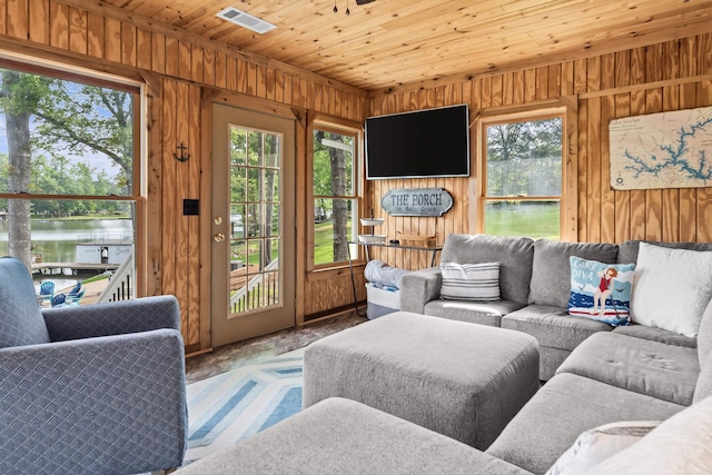 living area with wood walls, a water view, and a healthy amount of sunlight