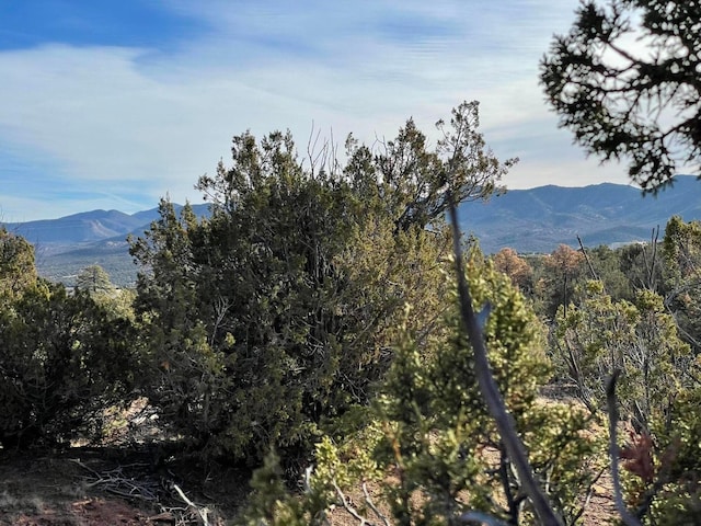 Listing photo 3 for 125 Kiva Pl, Sandia Park NM 87047