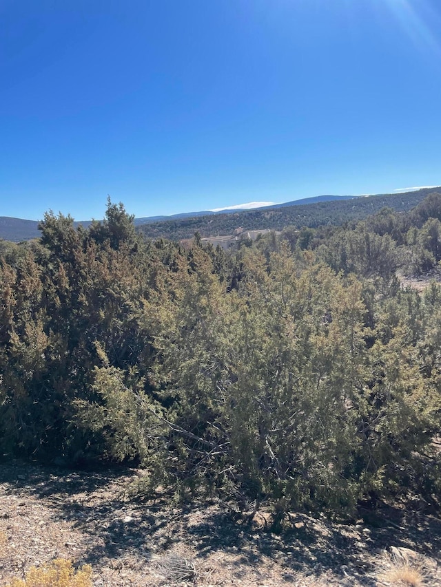 Listing photo 2 for 71 Raindance Rd, Sandia Park NM 87047