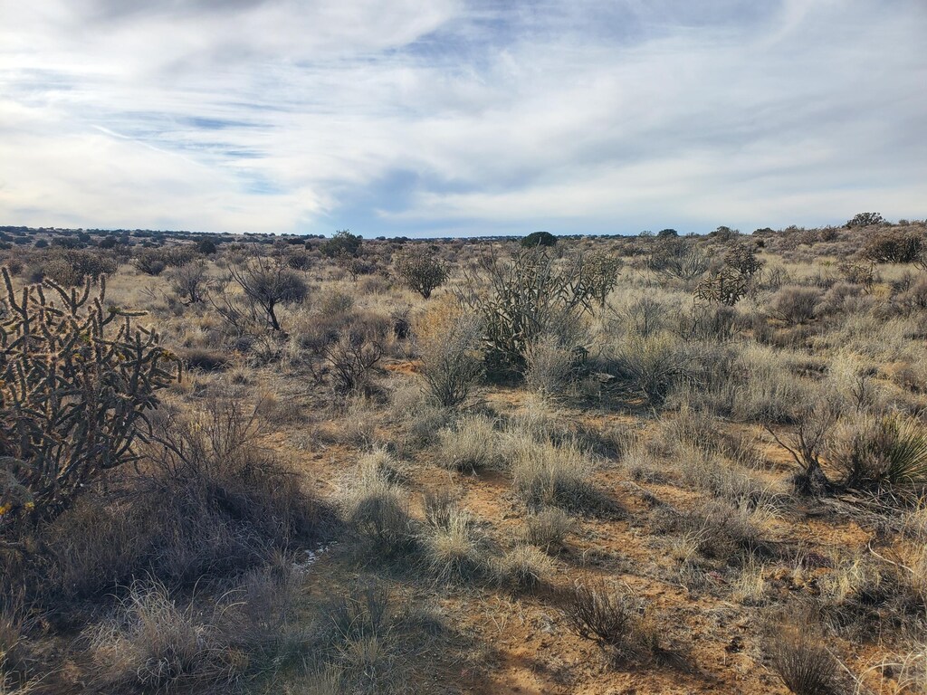 LOT24 22nd St NW, Rio Rancho, NM 87144 - photo 3