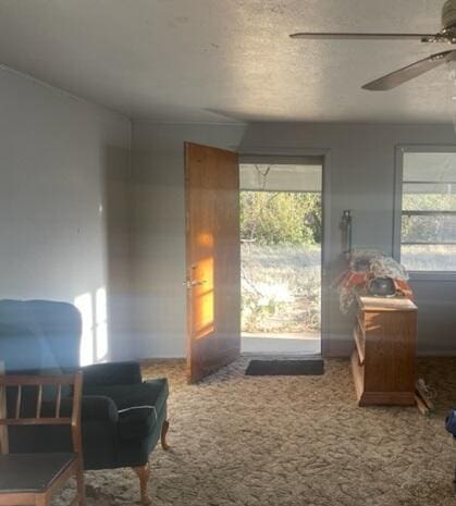 5 Coleman Dr, Silver City, NM 88061 - photo 8