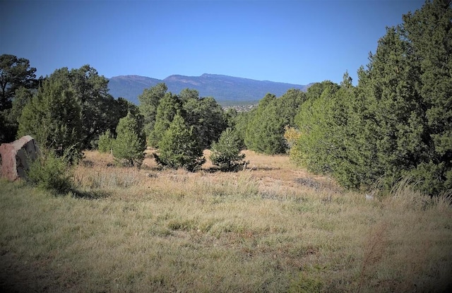 5 Red Fox Ct, Tijeras NM, 87059 land for sale