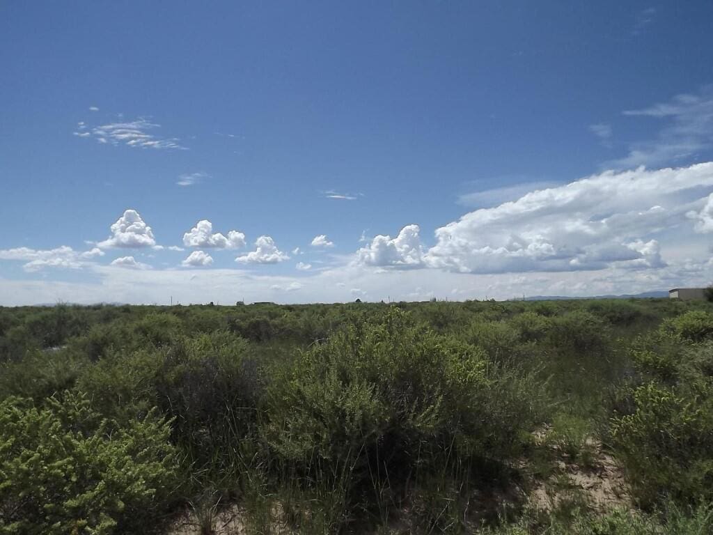 TRC-2 Salt Mission Trl, Estancia, NM 87016 - photo 1