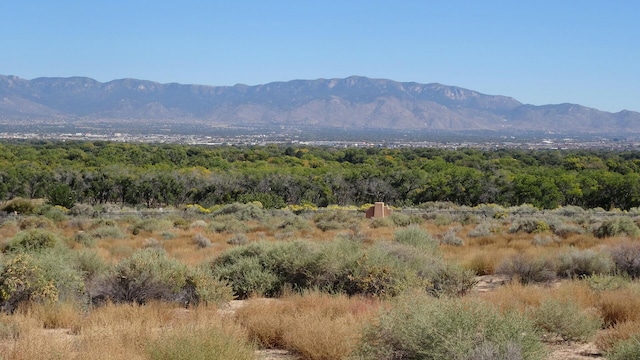 5008 Cinnamon Teal Ct NW, Albuquerque NM, 87120 land for sale