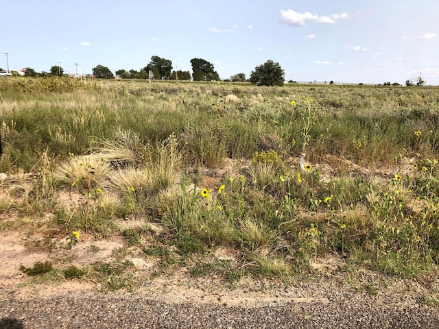 Listing photo 3 for Clubhouse Rd, Mcintosh NM 87032