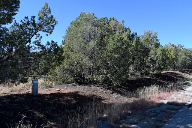 Listing photo 3 for 4 Anasazi Ct, Sandia Park NM 87047