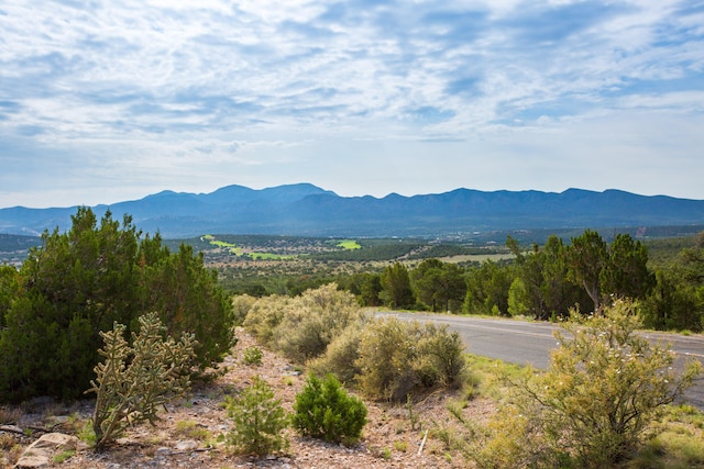 Listing photo 2 for 66 Prado Vis, Sandia Park NM 87047