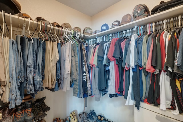 view of spacious closet