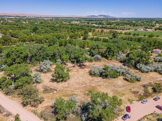 Listing photo 3 for Los Chapulines Rd Unit D3, Belen NM 87002