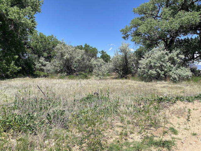 Listing photo 2 for Los Chapulines Rd Unit D3, Belen NM 87002