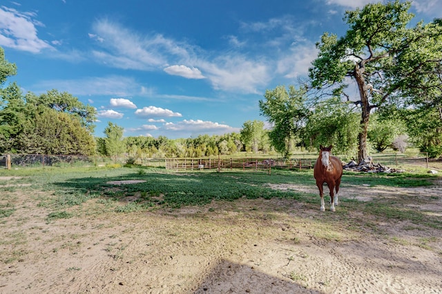 view of yard featuring a rural view