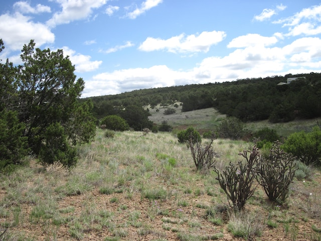 24 Chapel Ln, Tijeras NM, 87059 land for sale