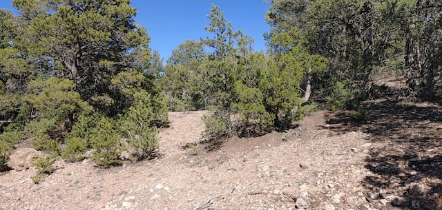 Lakeview Pl, Sandia Park NM, 87047 land for sale