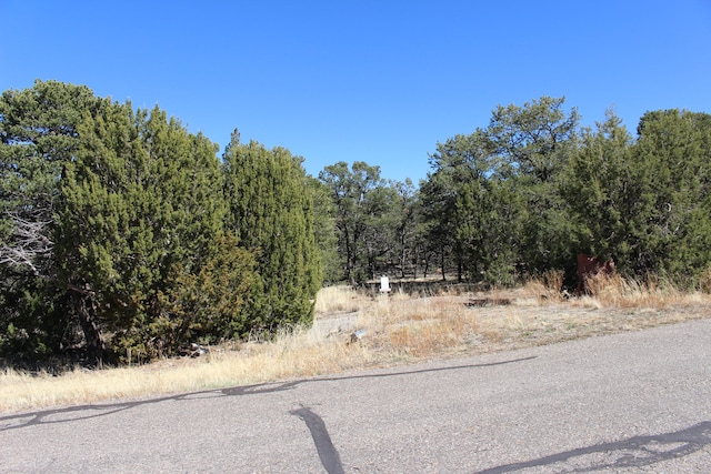 Listing photo 2 for 37 Nature Pointe Dr, Tijeras NM 87059