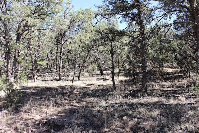 Listing photo 3 for 37 Nature Pointe Dr, Tijeras NM 87059