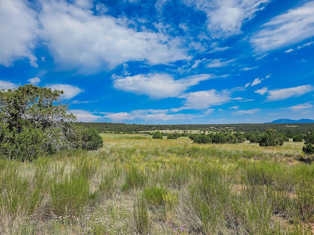 Listing photo 3 for 289 Gonzales Rd, Edgewood NM 87015