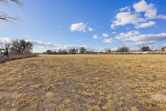 view of local wilderness featuring a rural view