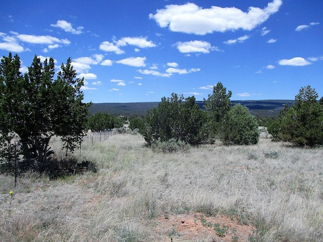 Listing photo 2 for LOT8 Sunrise Way, Ramah NM 87321