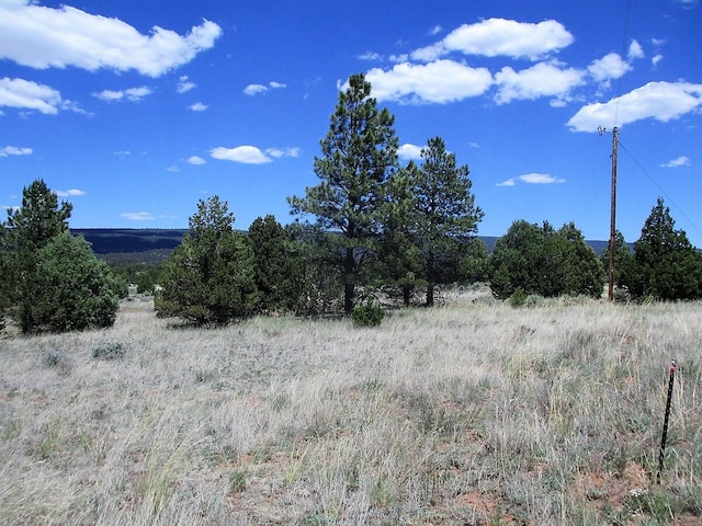 Listing photo 3 for LOT8 Sunrise Way, Ramah NM 87321