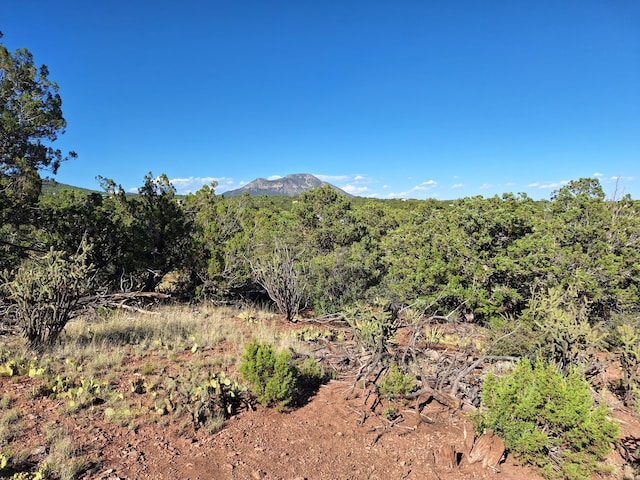 59 Express Blvd, Sandia Park NM, 87047 land for sale