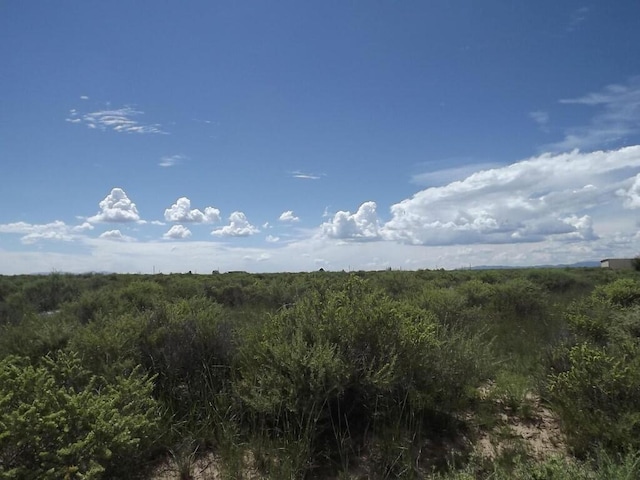 Salt Msn, Moriarty NM, 87035 land for sale