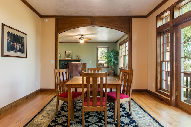 dining space with crown molding, ceiling fan, and light hardwood / wood-style flooring