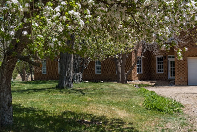 view of property hidden behind natural elements with a garage and a front yard