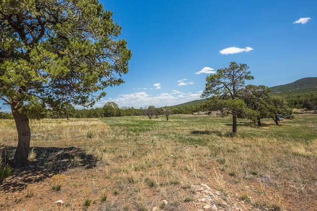 view of local wilderness with a rural view and a mountain view