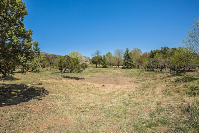 view of yard featuring a rural view