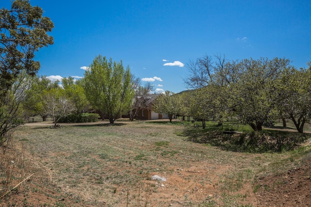 view of yard with a rural view