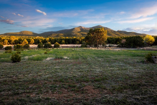 property view of mountains with a rural view