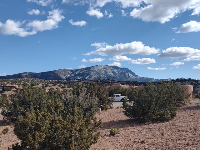 Folsom Pt, Placitas, NM 87043 - photo 3