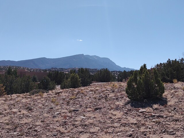 Folsom Pt, Placitas, NM 87043 - photo 5