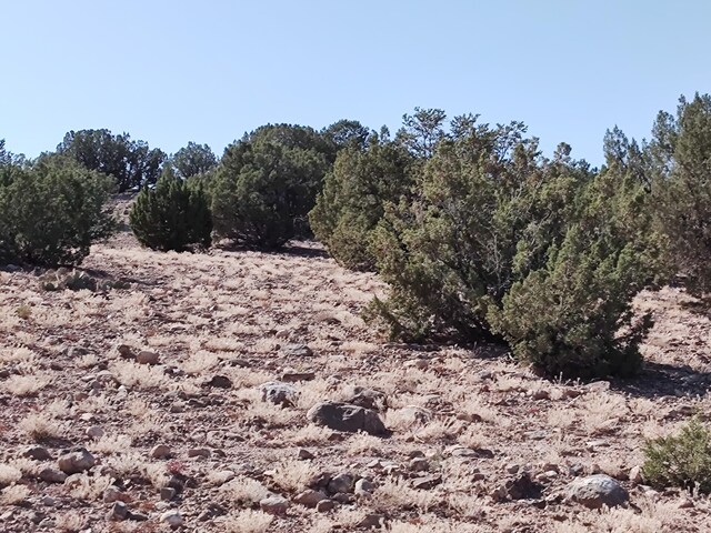 Folsom Pt, Placitas, NM 87043 - photo 9