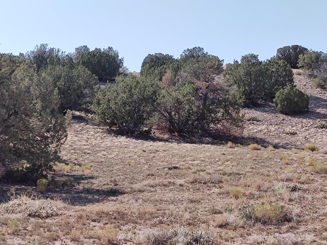 Folsom Pt, Placitas, NM 87043 - photo 10