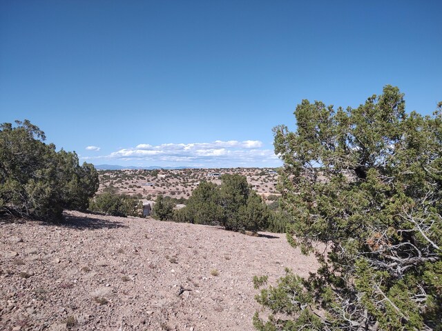 Folsom Pt, Placitas, NM 87043 - photo 12