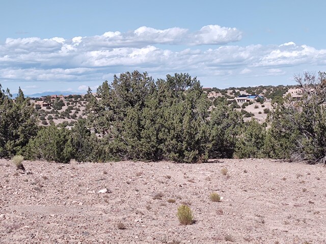Folsom Pt, Placitas, NM 87043 - photo 18