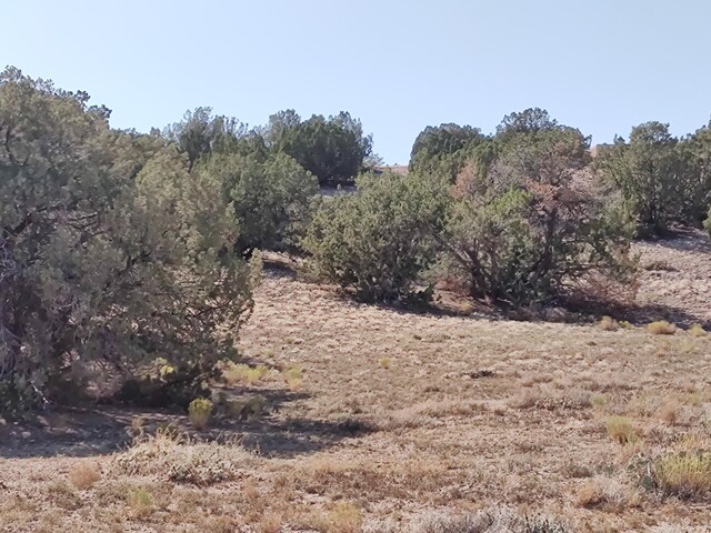 Folsom Pt, Placitas, NM 87043 - photo 23