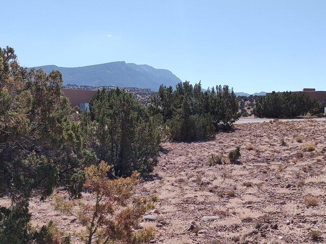 Folsom Pt, Placitas, NM 87043 - photo 28