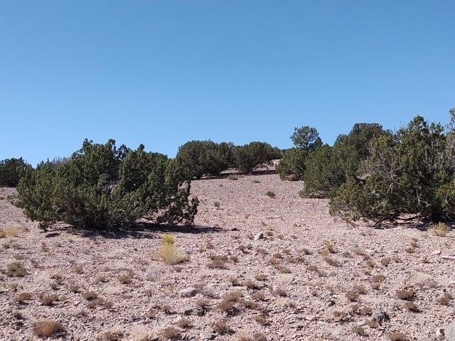 Folsom Pt, Placitas, NM 87043 - photo 29