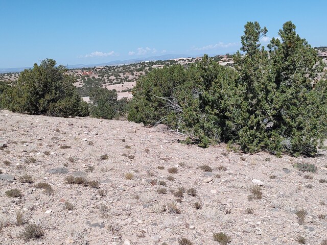 Folsom Pt, Placitas, NM 87043 - photo 30