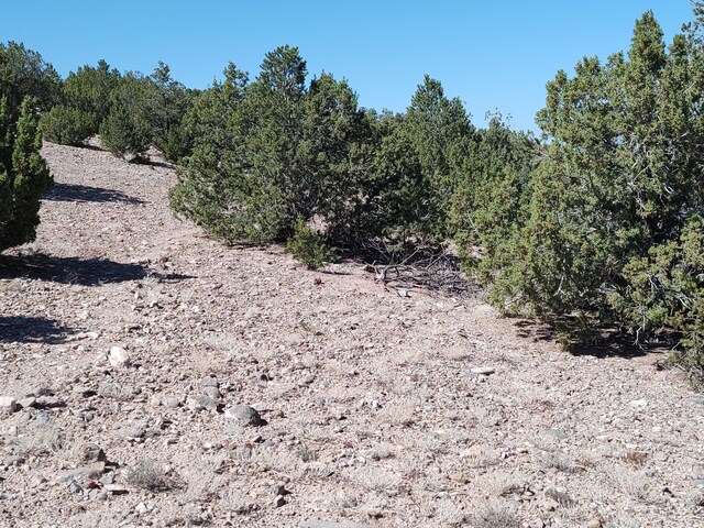 Folsom Pt, Placitas, NM 87043 - photo 31