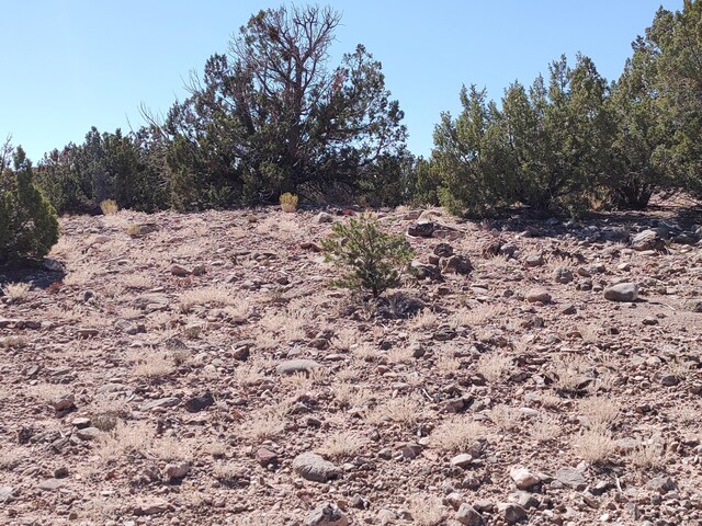 Folsom Pt, Placitas, NM 87043 - photo 32