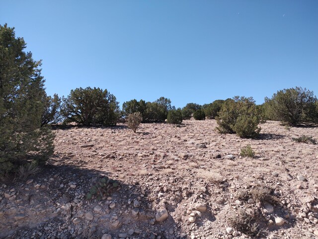 Folsom Pt, Placitas, NM 87043 - photo 33