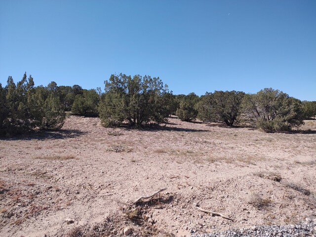 Folsom Pt, Placitas, NM 87043 - photo 34