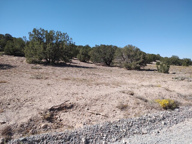 Folsom Pt, Placitas, NM 87043 - photo 35
