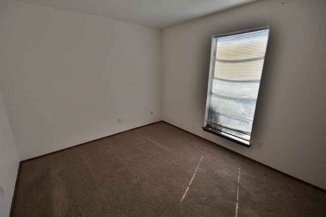 carpeted spare room with plenty of natural light